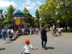 公園での遊具遊びも体を動かし楽しく遊ぶ姿がみられました。