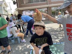 頭の上に鶏さんのせてもらいました！鳥使い！！⭐︎⭐︎⭐︎