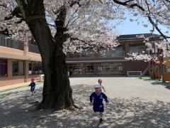 ✴︎ホームクラス✴︎外で元気いっぱい走っています！！
