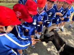 ♡年中組♡楽しみにしていた動物村です🐐💕