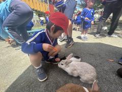 ☆年中組☆にんじんちょうだい～🐰🥕