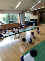 体操の時間が大好きな皆です！色んな動物さんに大変身！
